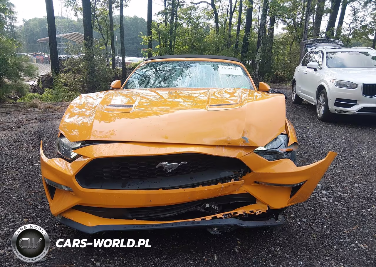 2019 Ford Mustang Ecoboost Premium VIN:1FATP8UH1K5188823 - 12