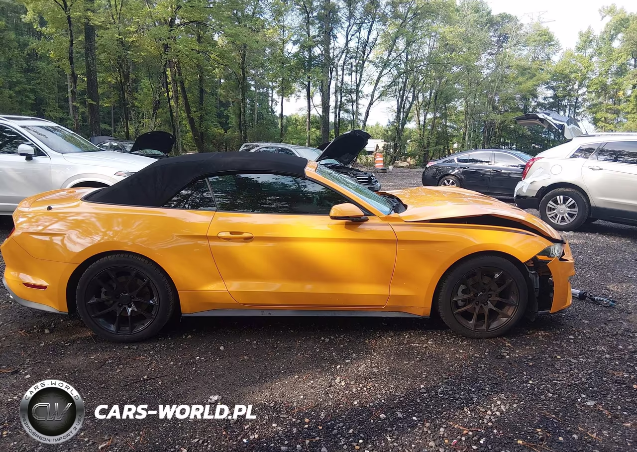 2019 Ford Mustang Ecoboost Premium VIN:1FATP8UH1K5188823 - 13