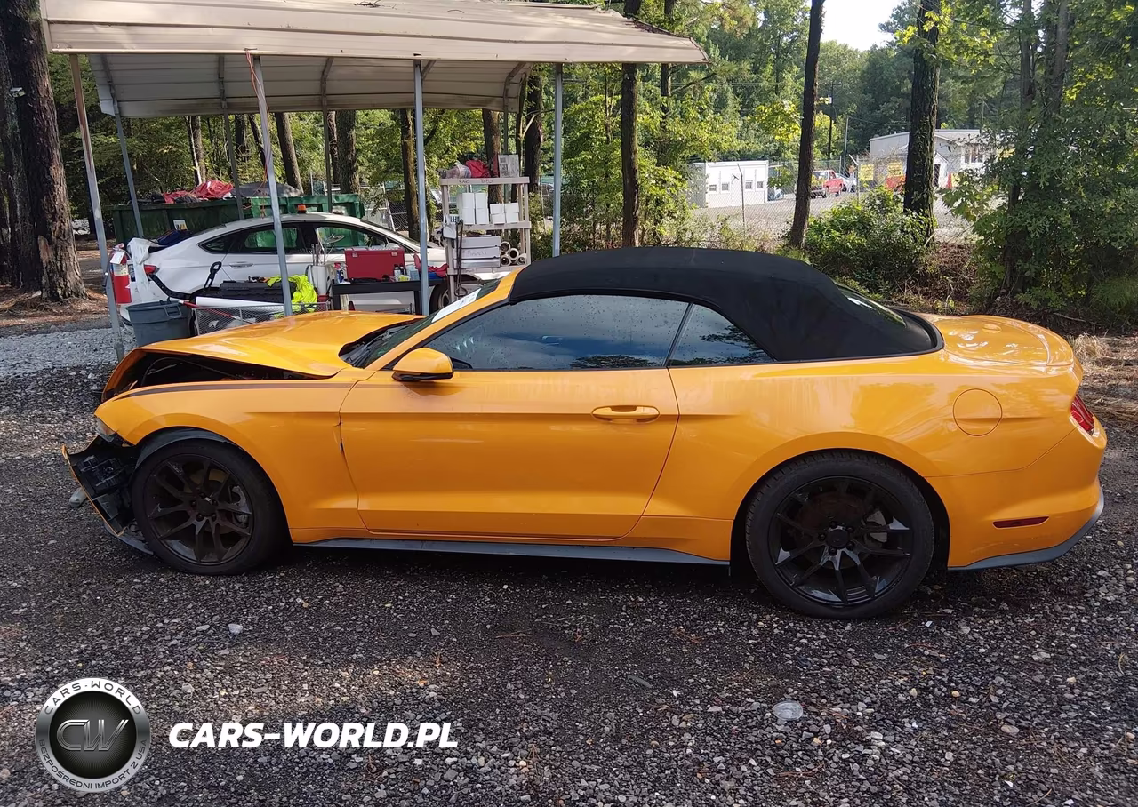 2019 Ford Mustang Ecoboost Premium VIN:1FATP8UH1K5188823 - 14
