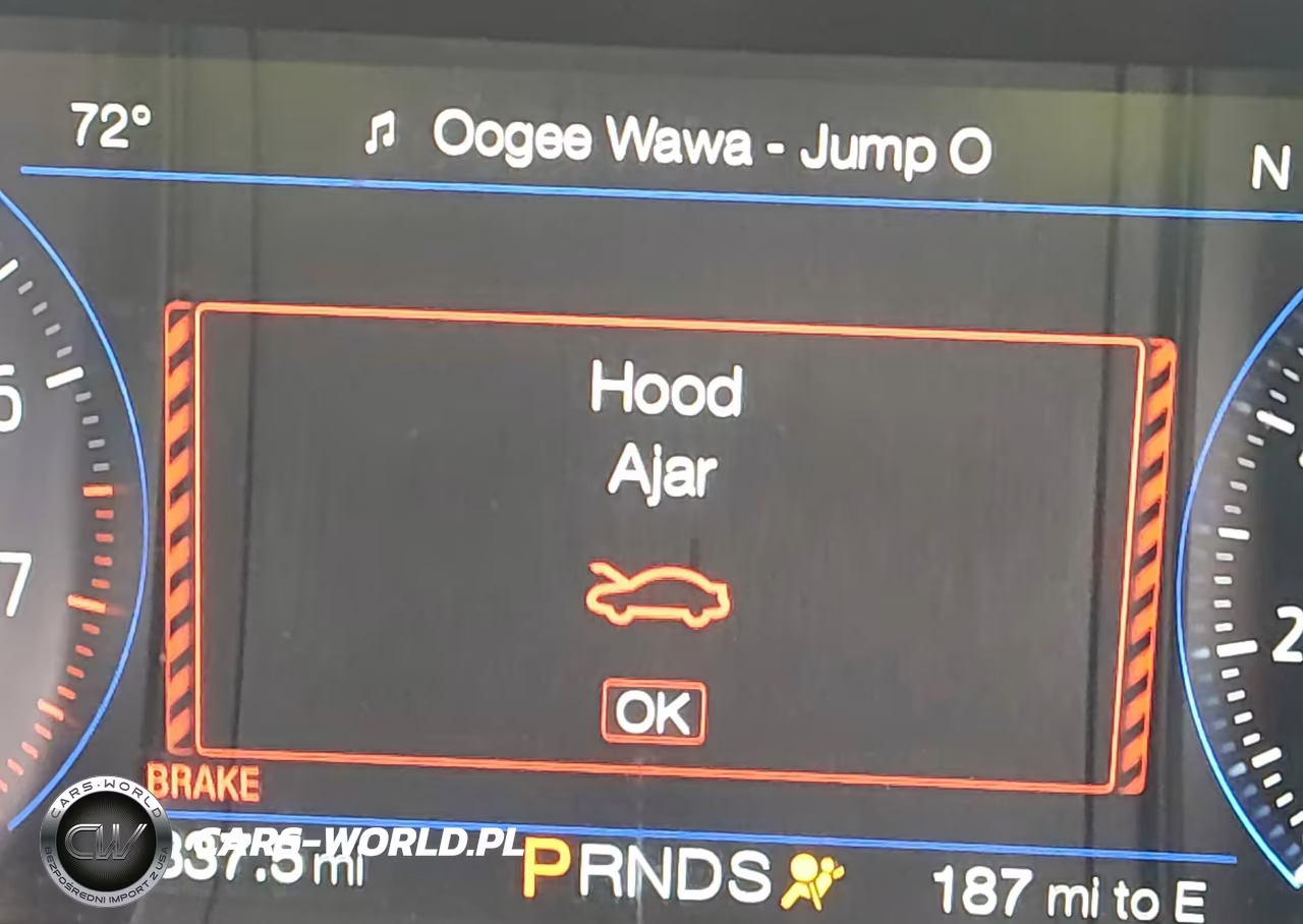 2019 Ford Mustang Ecoboost Premium VIN:1FATP8UH1K5188823 - 15