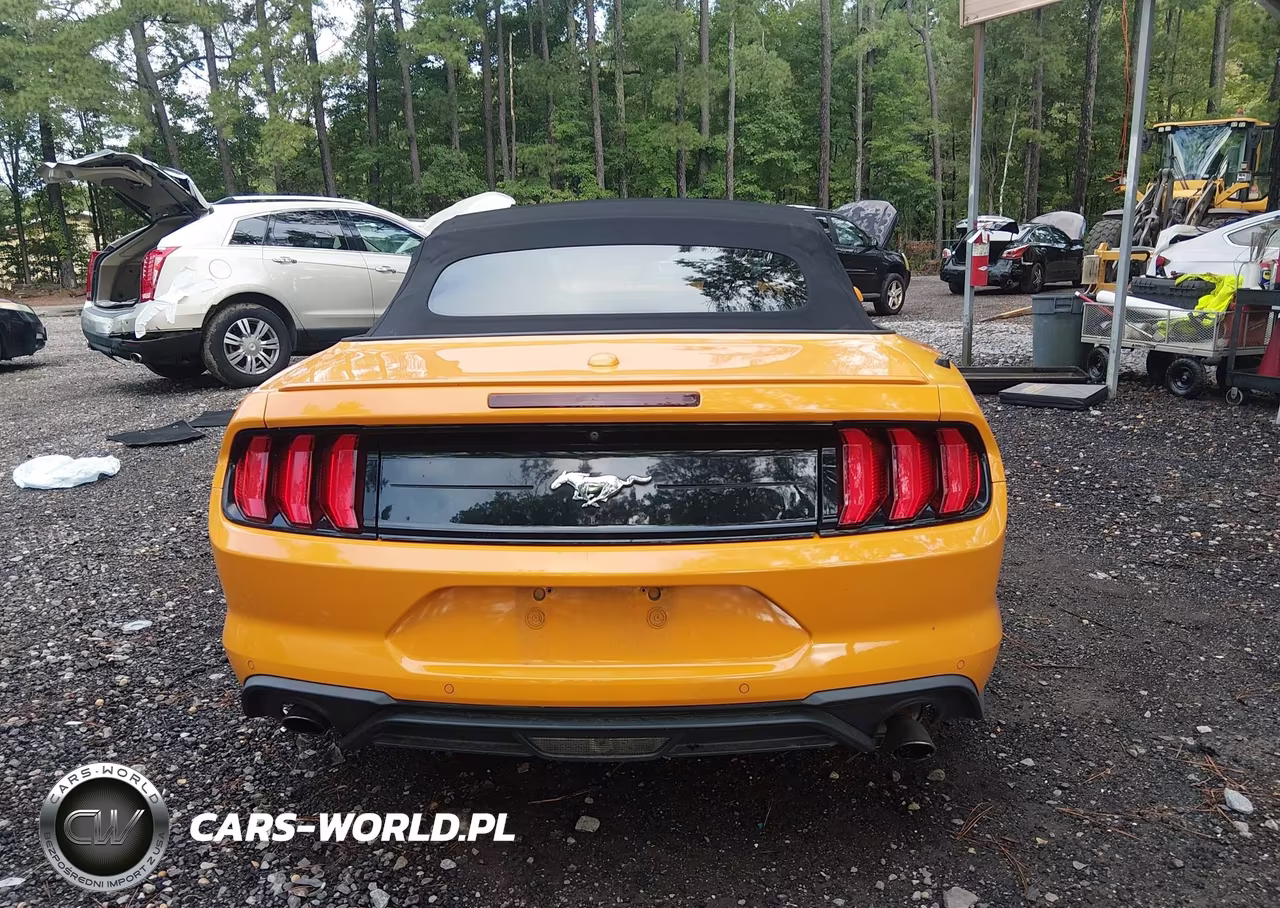 2019 Ford Mustang Ecoboost Premium VIN:1FATP8UH1K5188823 - 16
