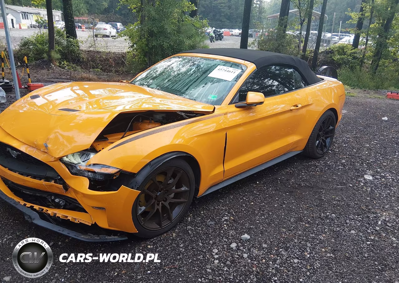 2019 Ford Mustang Ecoboost Premium VIN:1FATP8UH1K5188823 - 2