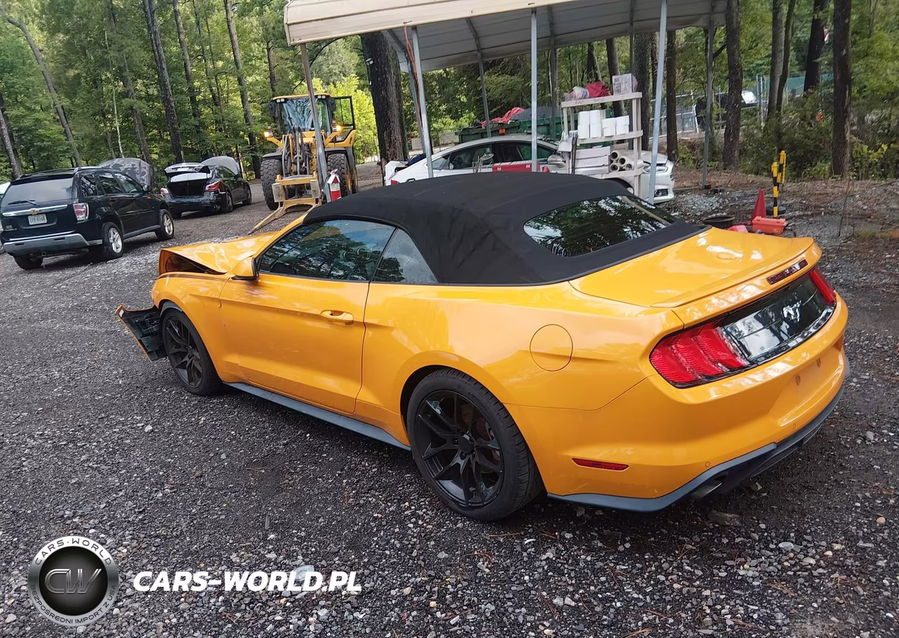 2019 Ford Mustang Ecoboost Premium VIN:1FATP8UH1K5188823 - 3