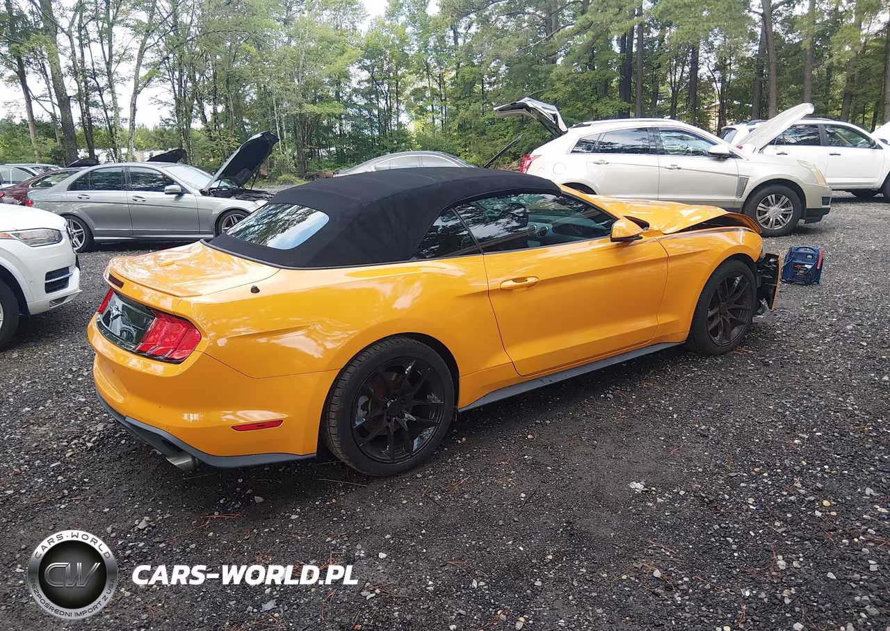 2019 Ford Mustang Ecoboost Premium VIN:1FATP8UH1K5188823 - 4