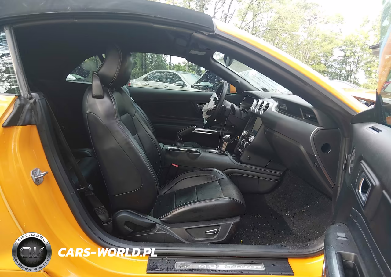 2019 Ford Mustang Ecoboost Premium VIN:1FATP8UH1K5188823 - 5