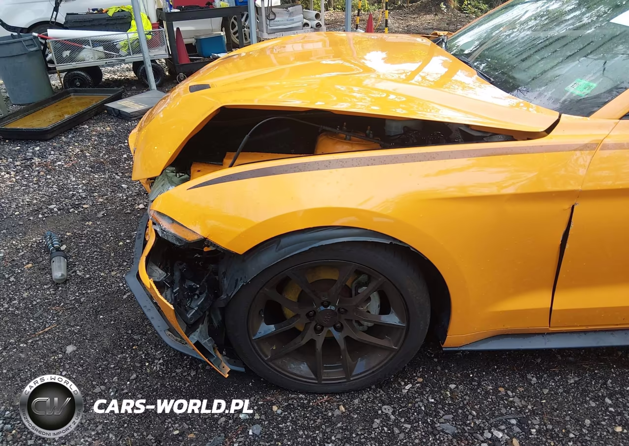 2019 Ford Mustang Ecoboost Premium VIN:1FATP8UH1K5188823 - 6