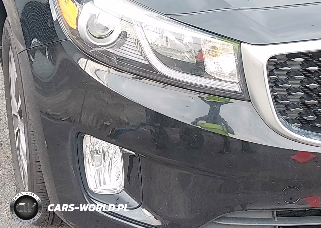 2016 Kia Sedona Sx VIN:KNDMC5C17G6183155 - 6