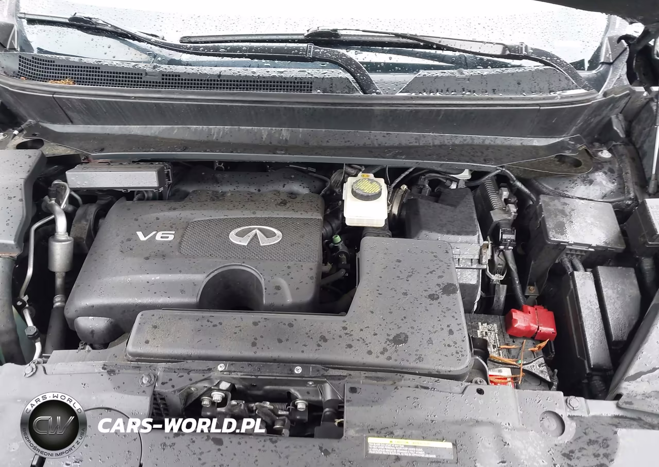2019 Infiniti Qx60 Luxe VIN:5N1DL0MM5KC517507 - 10