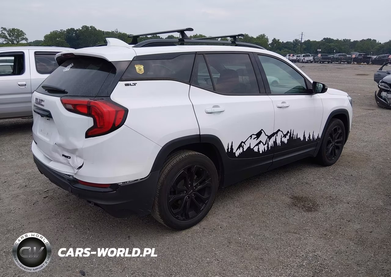 2020 GMC Terrain Awd Slt VIN:3GKALVEX0LL304584 - 4