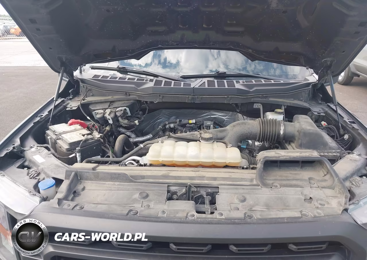 2023 Ford F-150 Xl VIN:1FTEW1EPXPFA24006 - 10