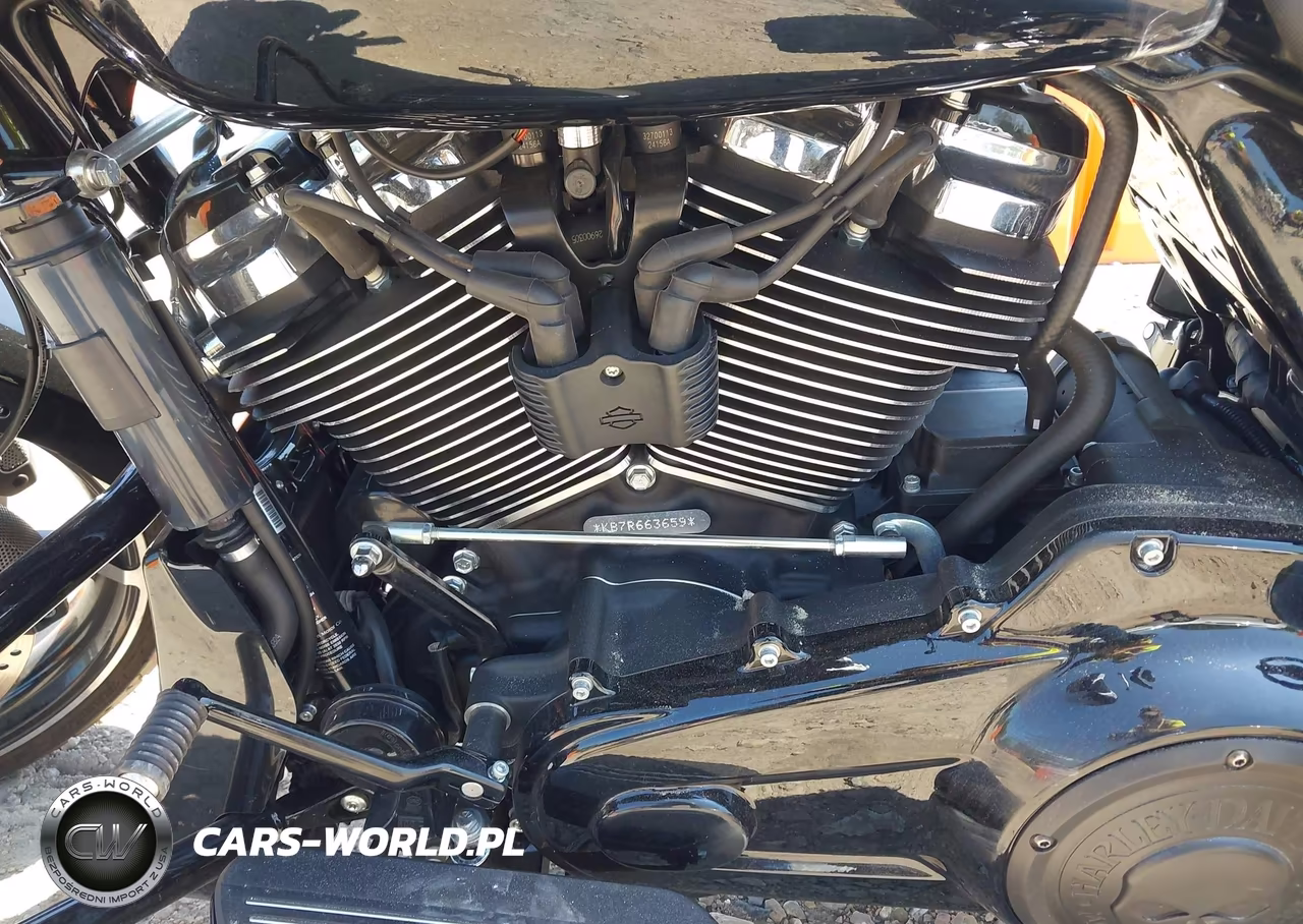 2024 Harley-Davidson Flhx VIN:1HD1KB714RB663659 - 9