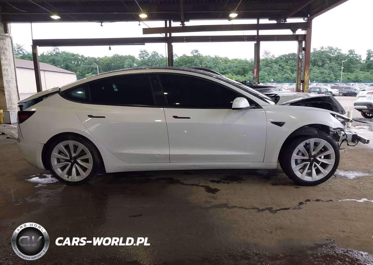 2021 Tesla Model 3 Standard Range Plus Rear-Wheel Drive VIN:5YJ3E1EA1MF063749 - 13