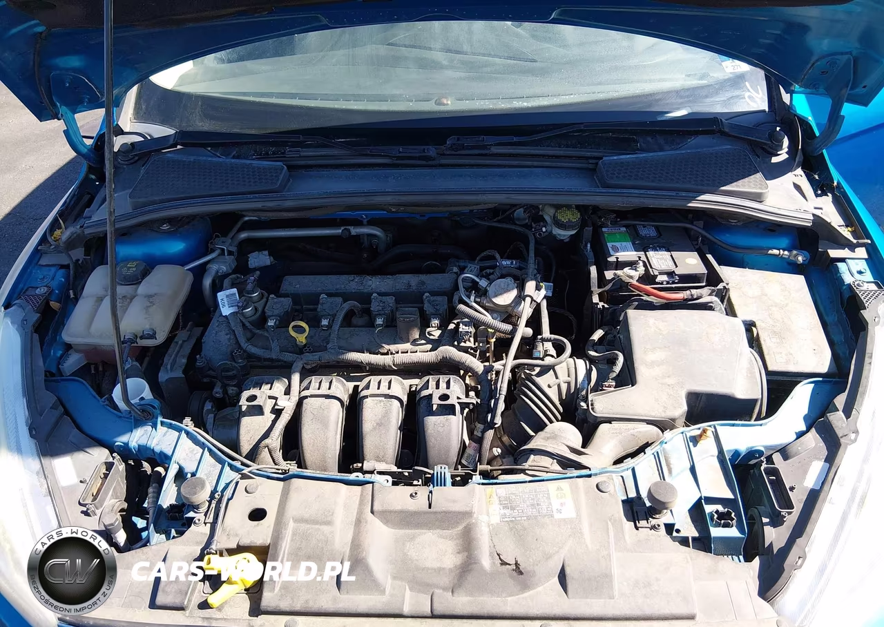 2016 Ford Focus Titanium VIN:1FADP3N29GL335507 - 10