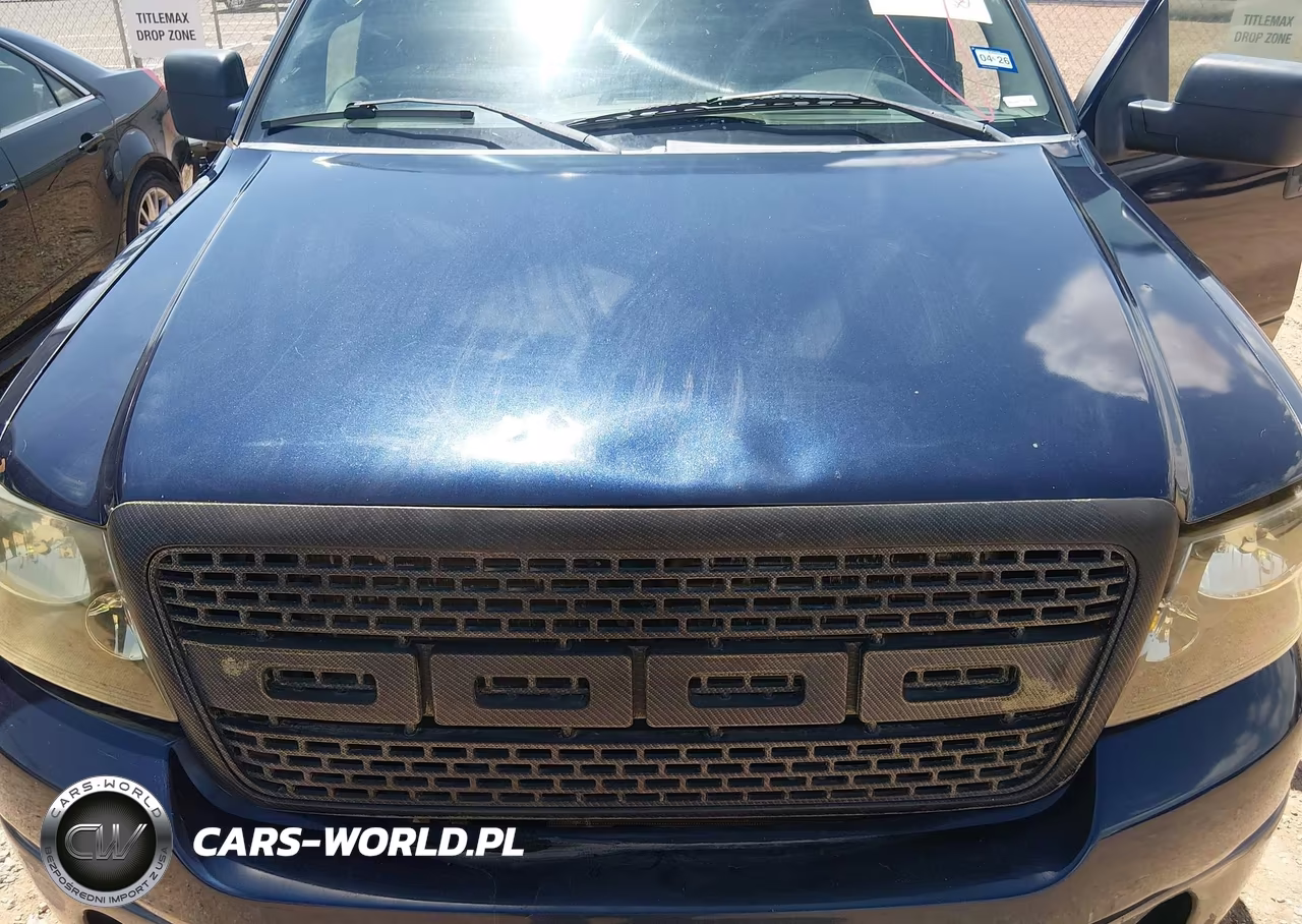 2006 Ford F-150 Fx4-Lariat-Xlt VIN:1FTPW14566FA42431 - 10