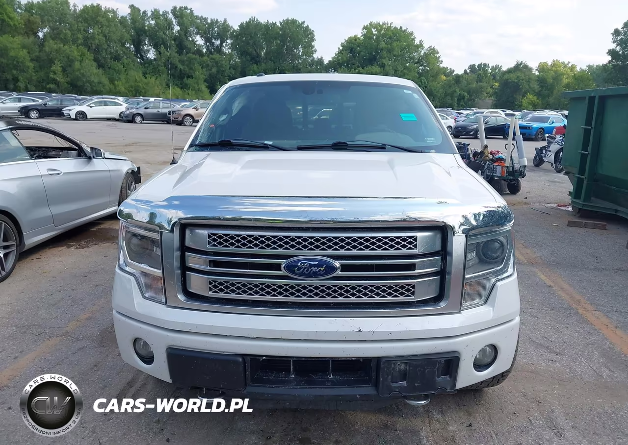2014 Ford F-150 Platinum VIN:1FTFW1ET5EFB60736 - 13