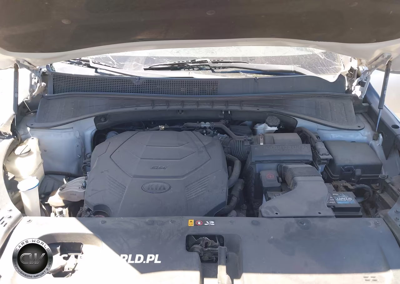 2020 Kia Sorento 3.3L Lx VIN:5XYPG4A5XLG616878 - 10
