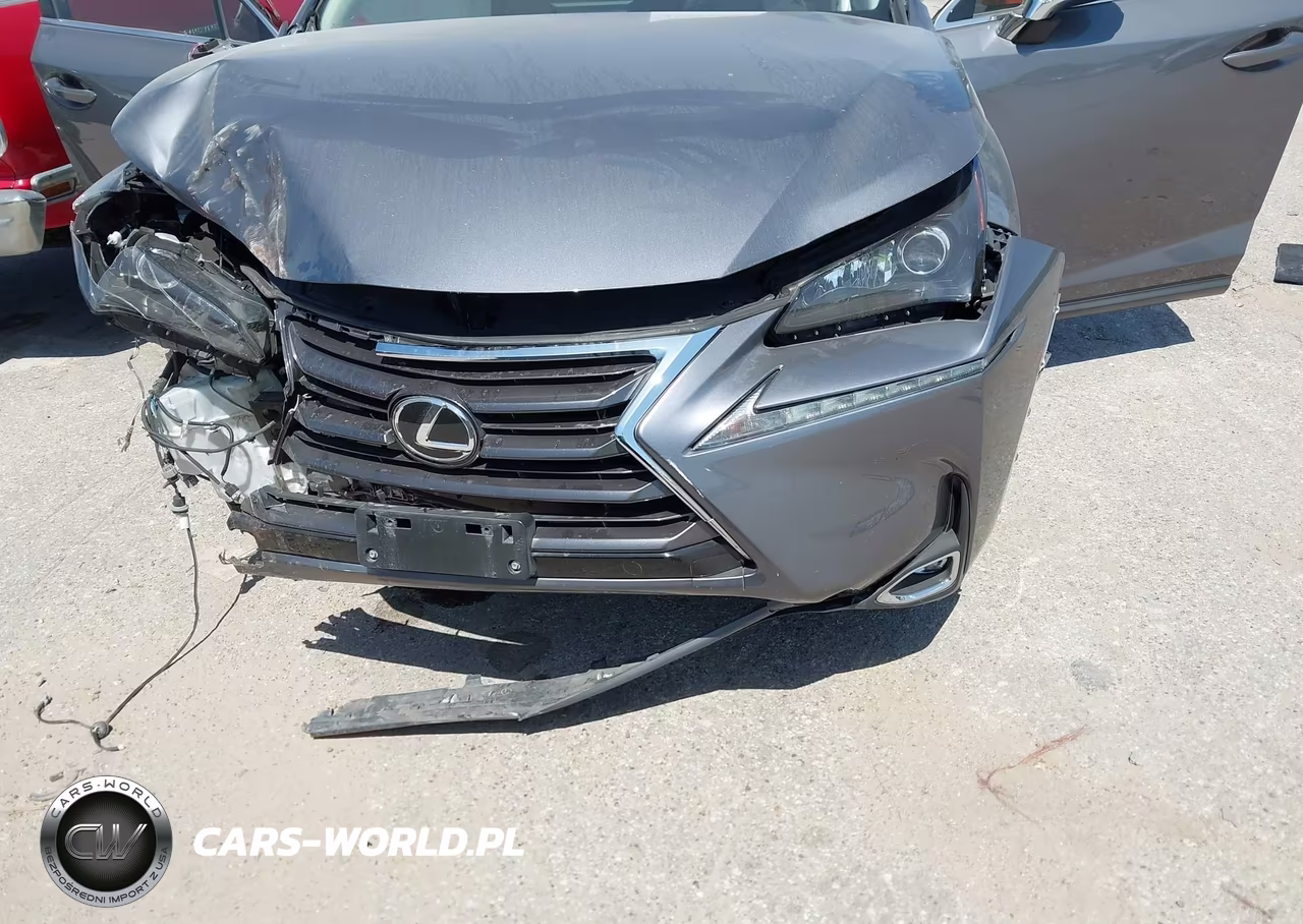 2015 Lexus Nx 200T VIN:JTJYARBZ0F2002048 - 6