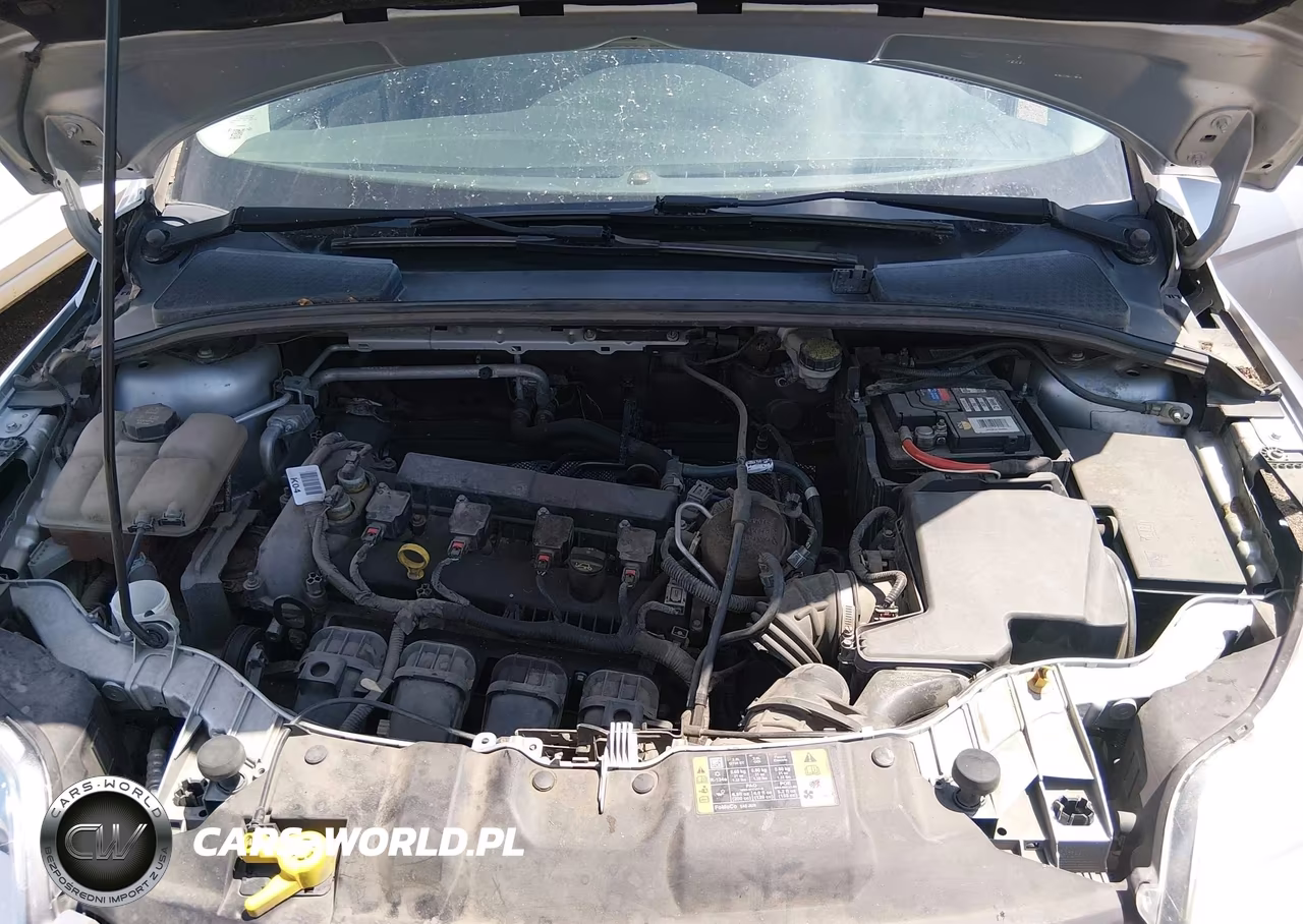 2014 Ford Focus Se VIN:1FADP3K26EL410178 - 10