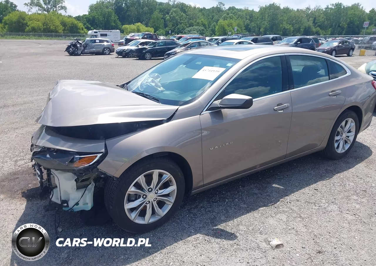 2022 Chevrolet Malibu Fwd Lt VIN:1G1ZD5ST4NF114449 - 2