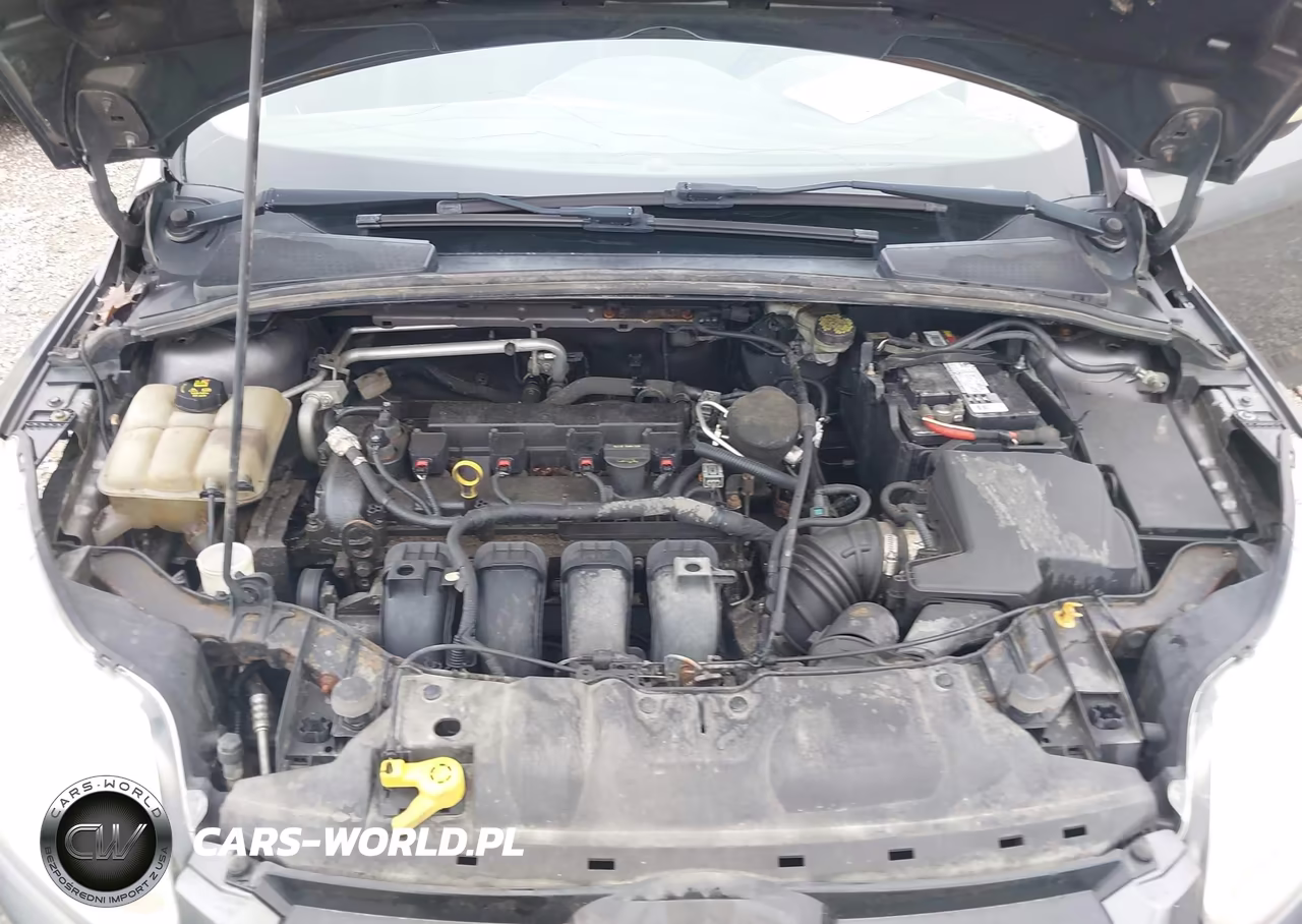 2014 Ford Focus Se VIN:1FADP3K29EL333628 - 10