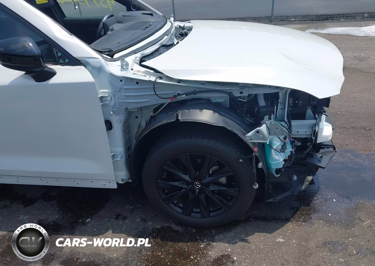 2024 Mazda Cx-5 2.5 Carbon Turbo VIN:JM3KFBAY3R0423859 - 20