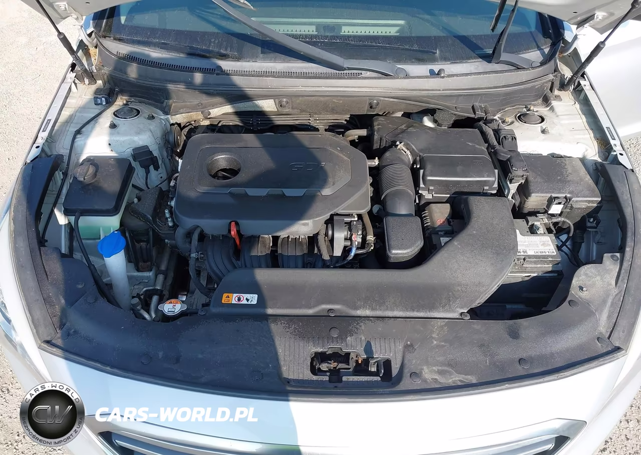 2017 Hyundai Sonata VIN:5NPE24AF8HH502909 - 10