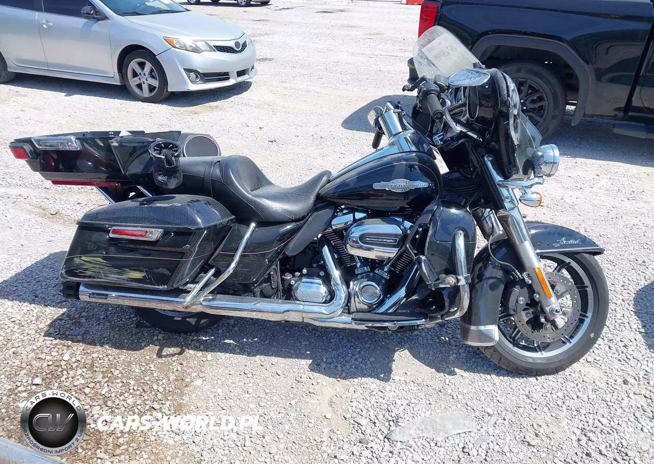 2018 Harley-Davidson Flhtk Shrine Ultra Limited VIN:1HD1KND14JB610311 - 12