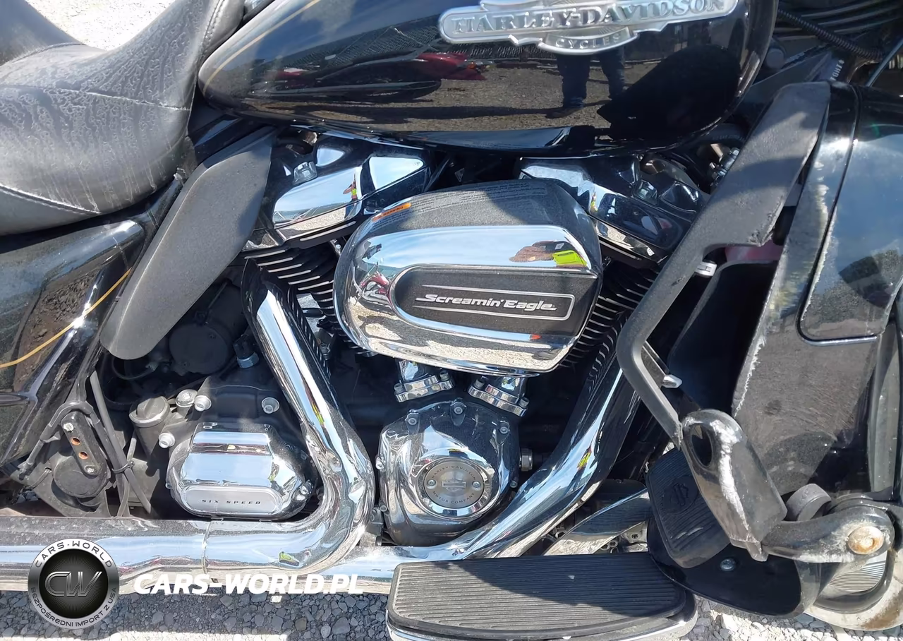 2018 Harley-Davidson Flhtk Shrine Ultra Limited VIN:1HD1KND14JB610311 - 8