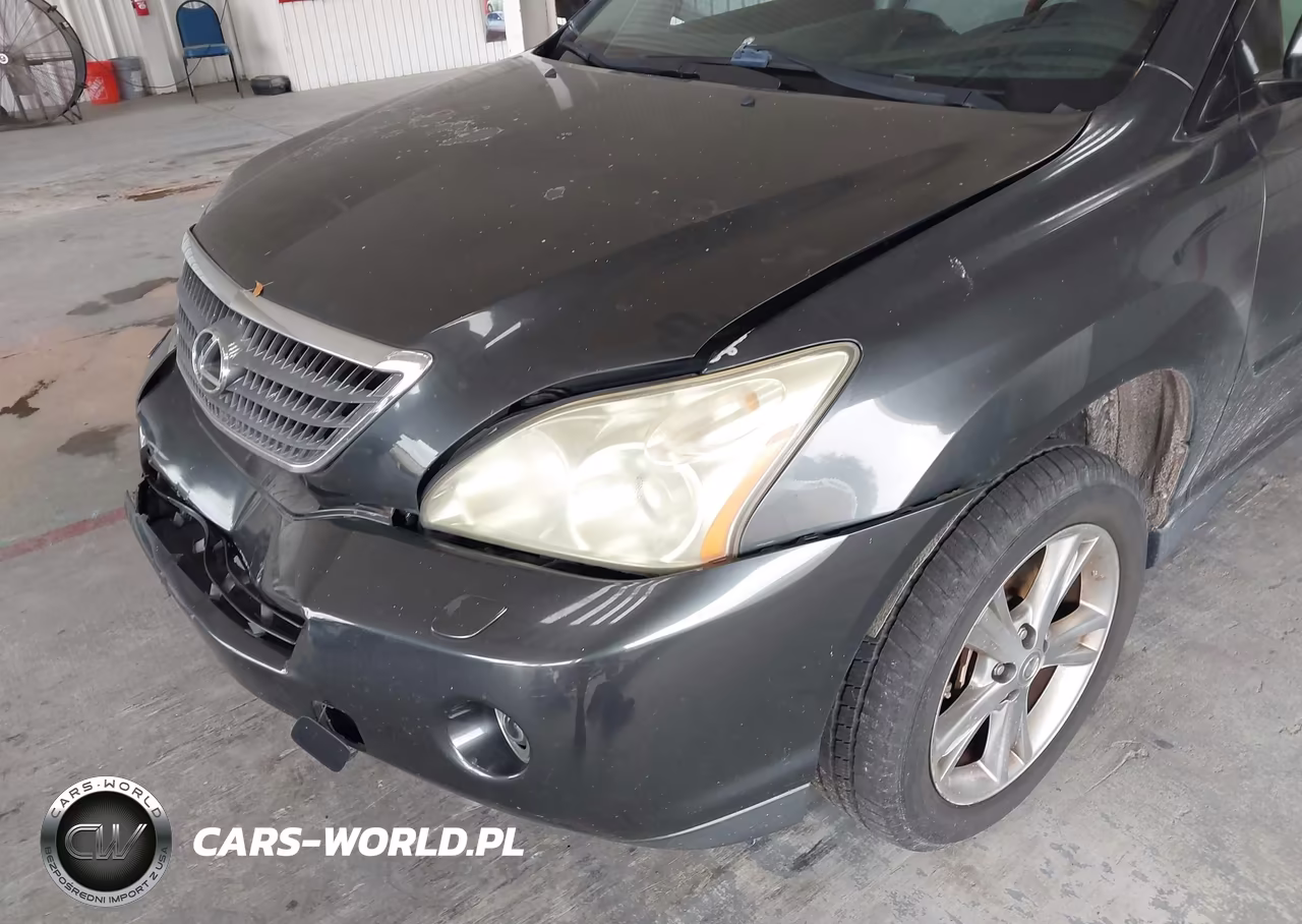 2007 Lexus Rx 400H VIN:JTJHW31UX72034124 - 12