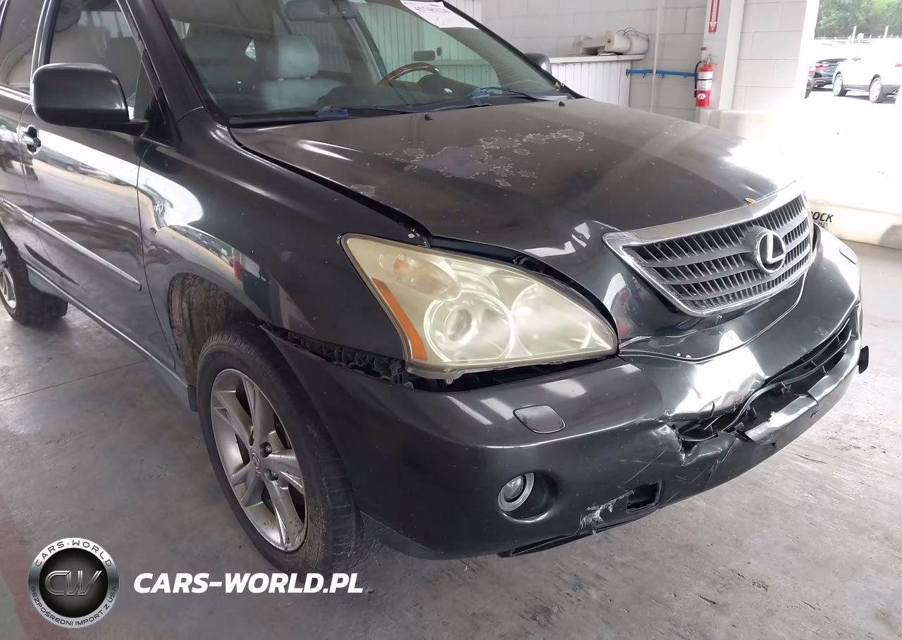 2007 Lexus Rx 400H VIN:JTJHW31UX72034124 - 6