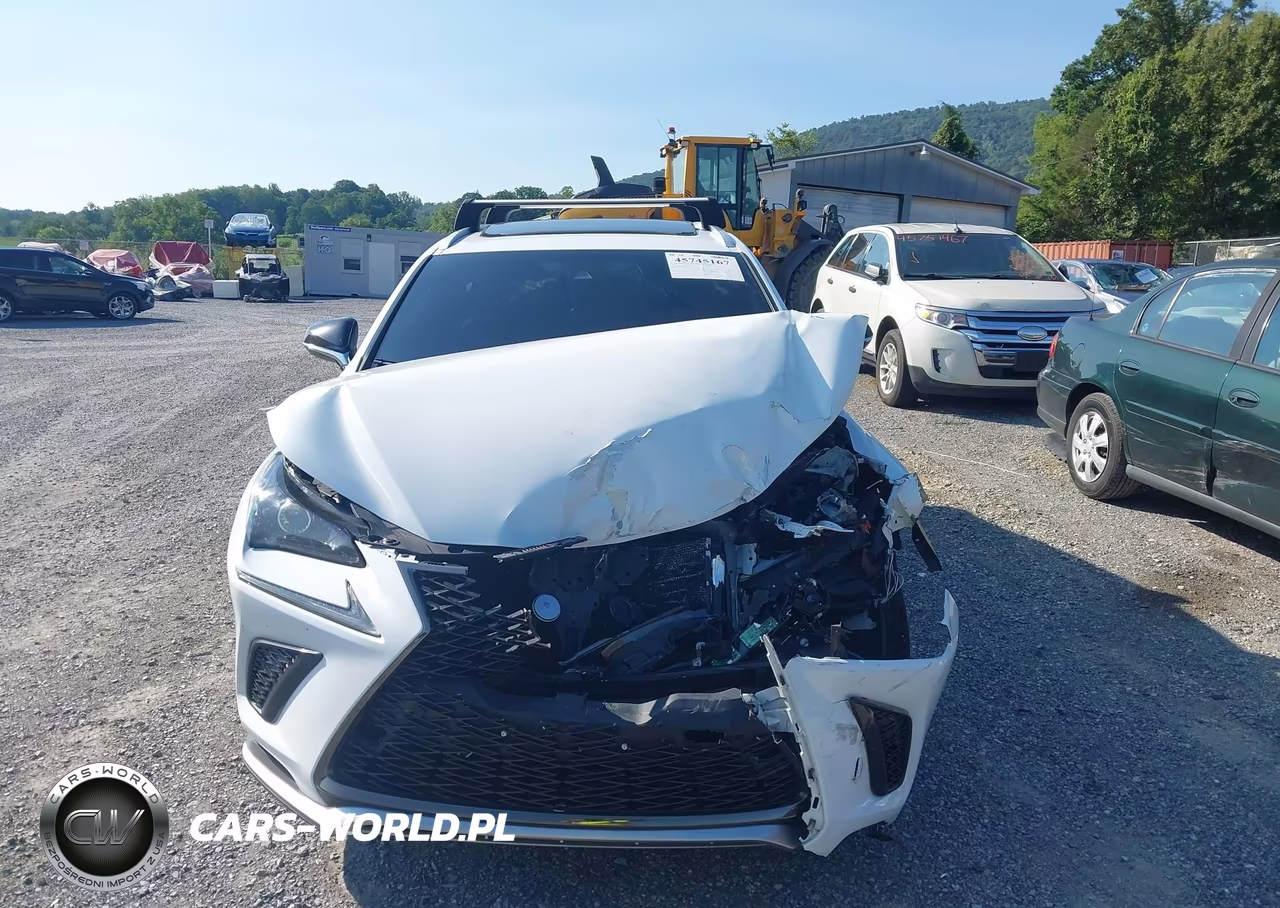 2018 Lexus Nx 300 F Sport VIN:JTJBARBZ8J2175492 - 13
