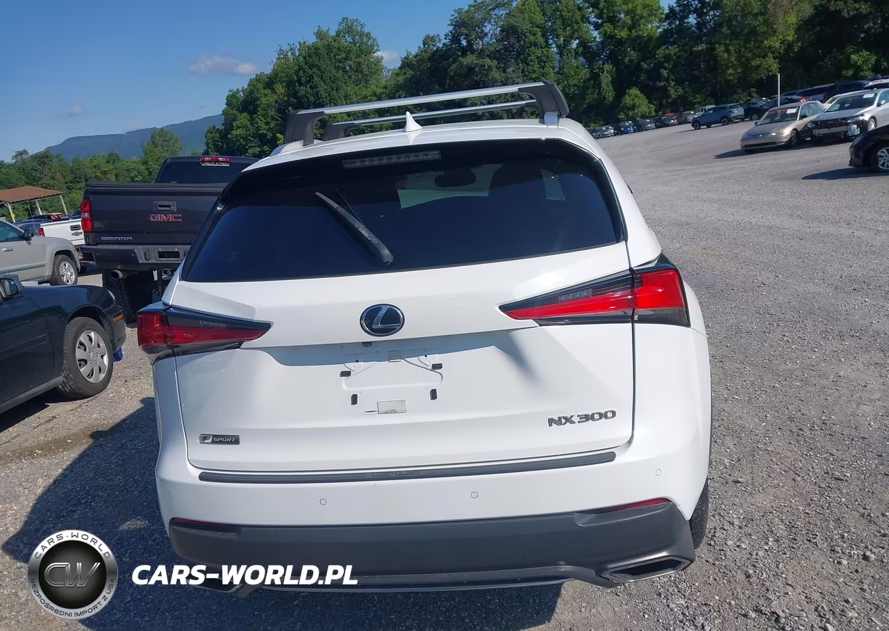 2018 Lexus Nx 300 F Sport VIN:JTJBARBZ8J2175492 - 17