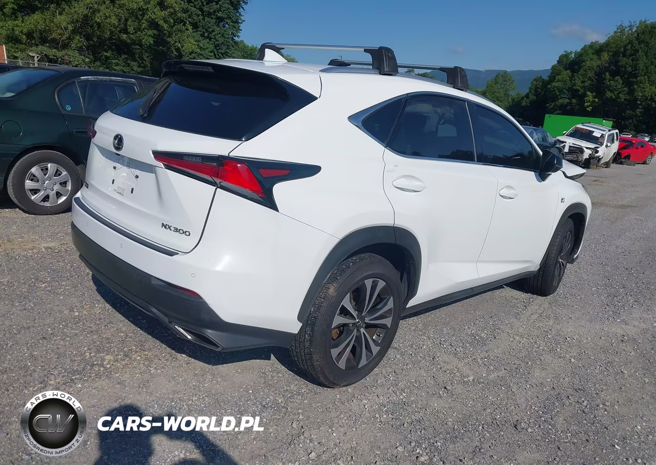 2018 Lexus Nx 300 F Sport VIN:JTJBARBZ8J2175492 - 4