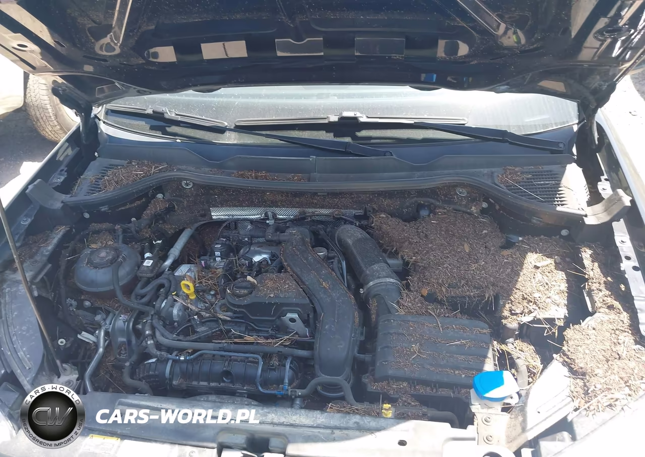 2024 Volkswagen Taos 1.5T Se VIN:3VVSX7B29RM016396 - 10