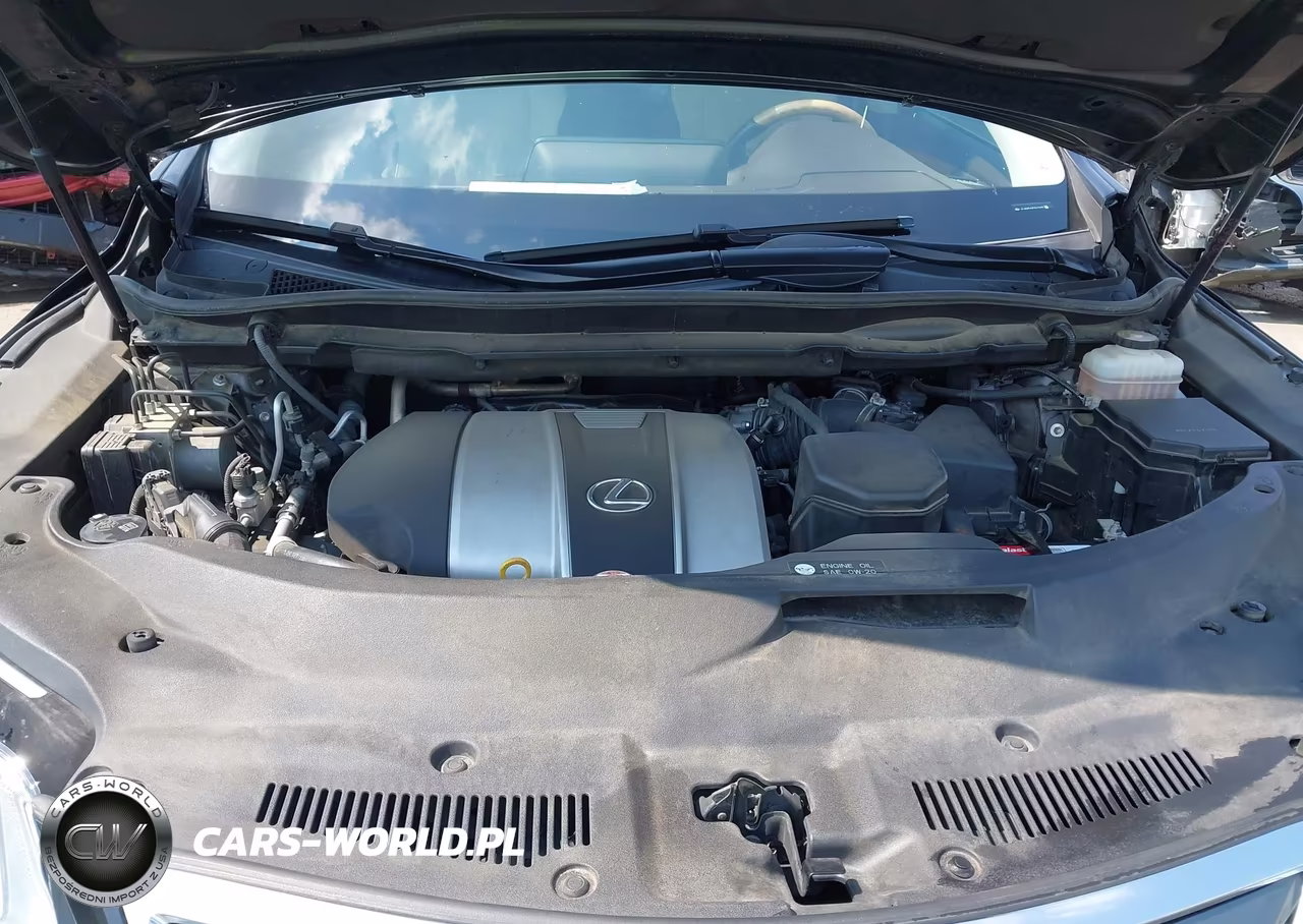 2017 Lexus Rx 350 VIN:JTJBZMCA3H2019049 - 10