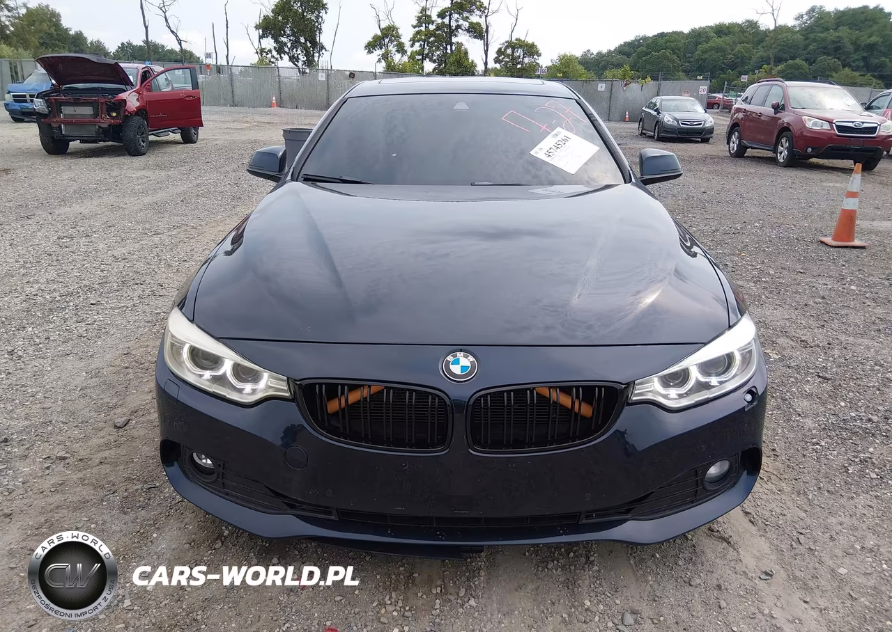 2016 BMW 428I Gran Coupe xDrive VIN:WBA4C9C5XGG135666 - 12