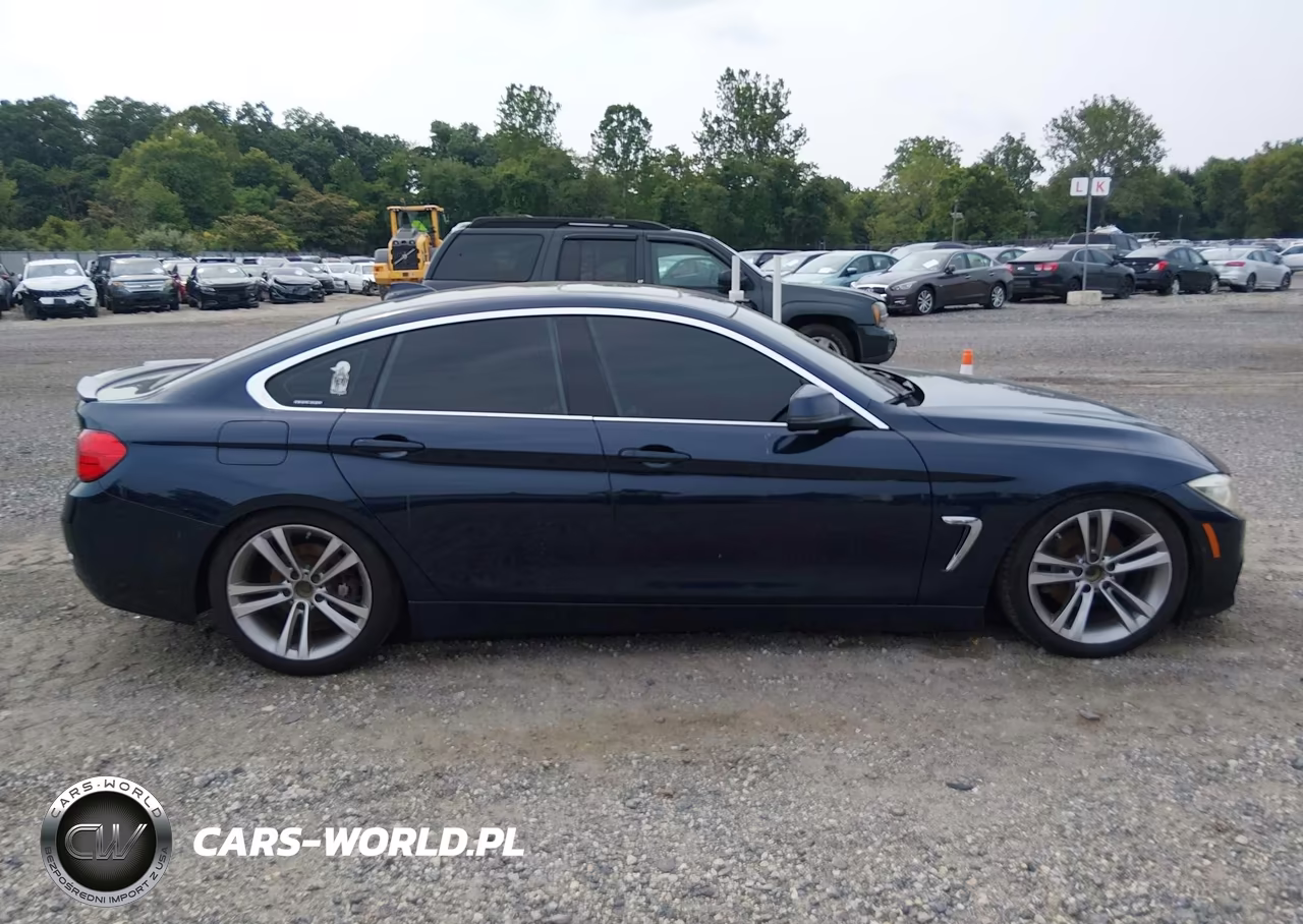 2016 BMW 428I Gran Coupe xDrive VIN:WBA4C9C5XGG135666 - 13