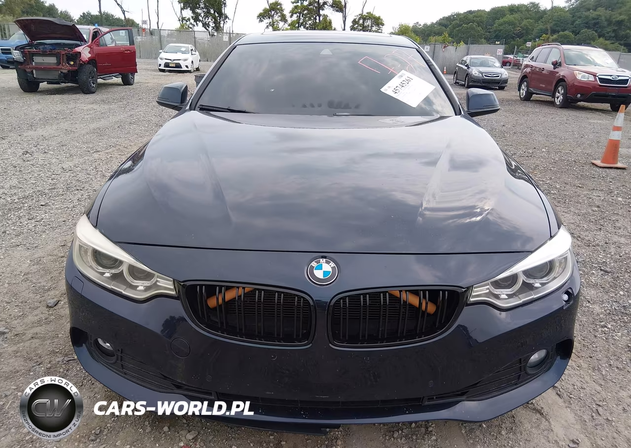 2016 BMW 428I Gran Coupe xDrive VIN:WBA4C9C5XGG135666 - 6
