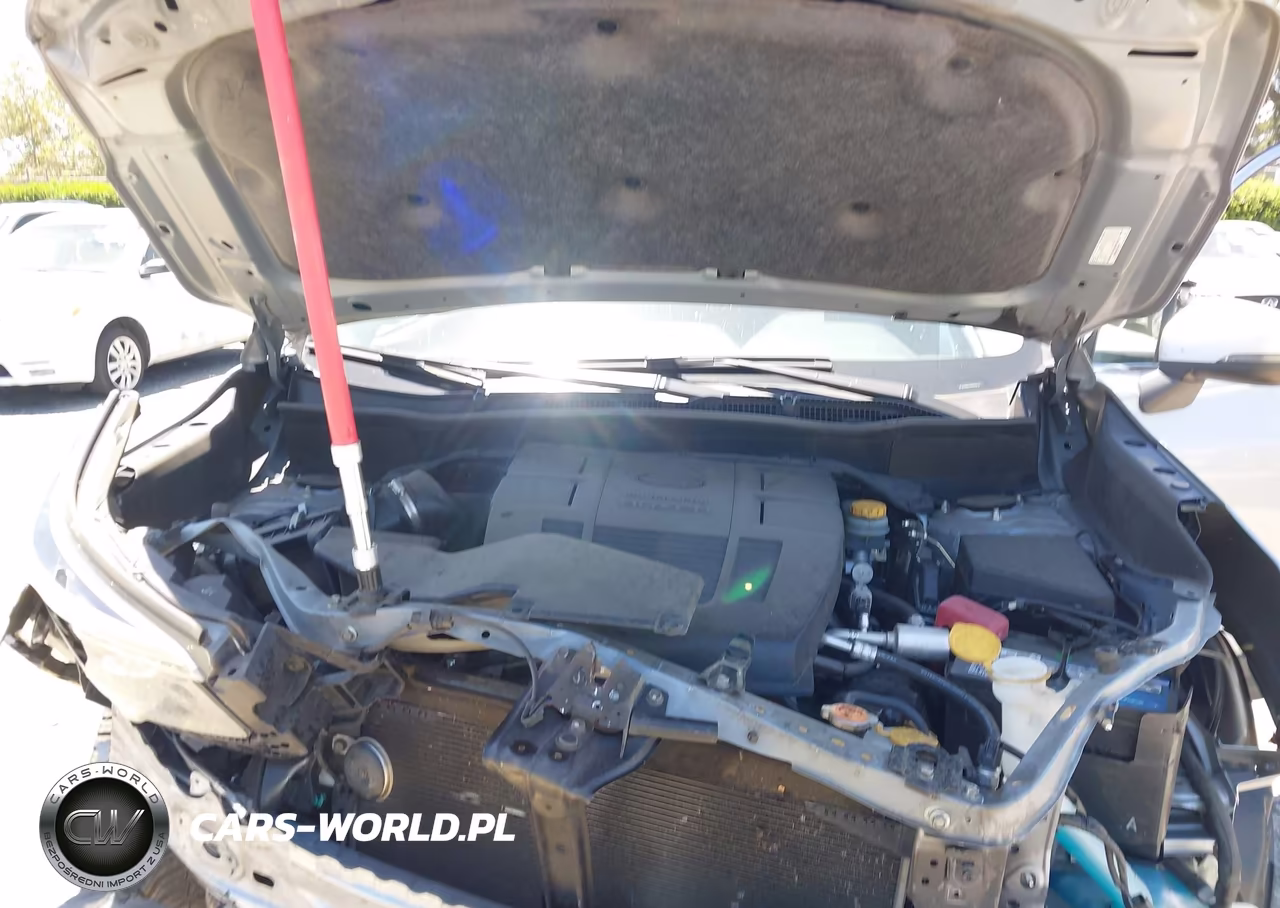 2019 Subaru Forester Limited VIN:JF2SKAUC2KH469237 - 10