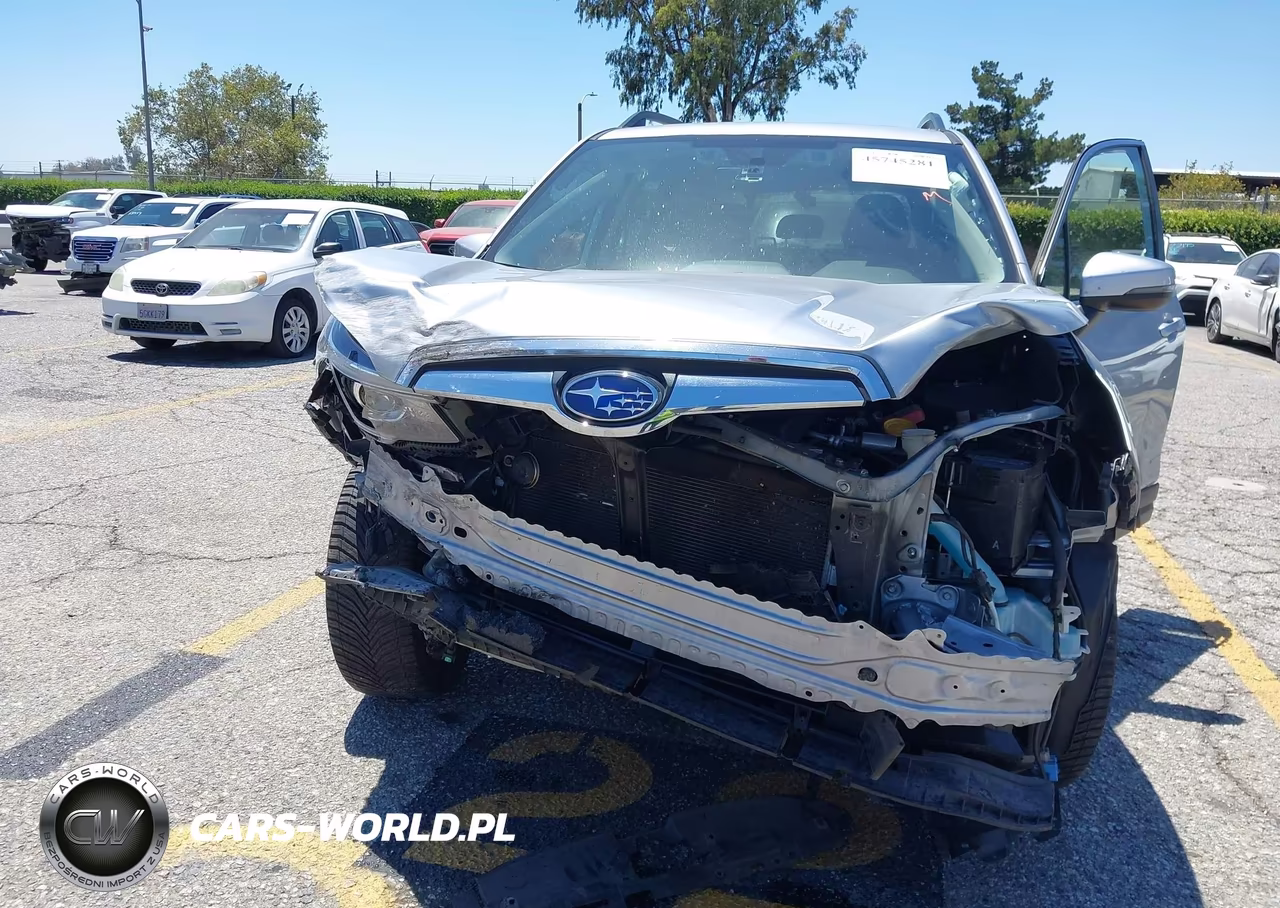 2019 Subaru Forester Limited VIN:JF2SKAUC2KH469237 - 6