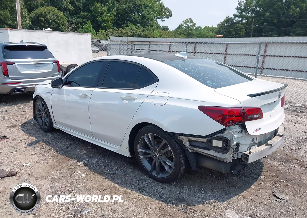 2019 Acura Tlx Tech A-Spec Pkgs VIN:19UUB2F6XKA006020 - 3