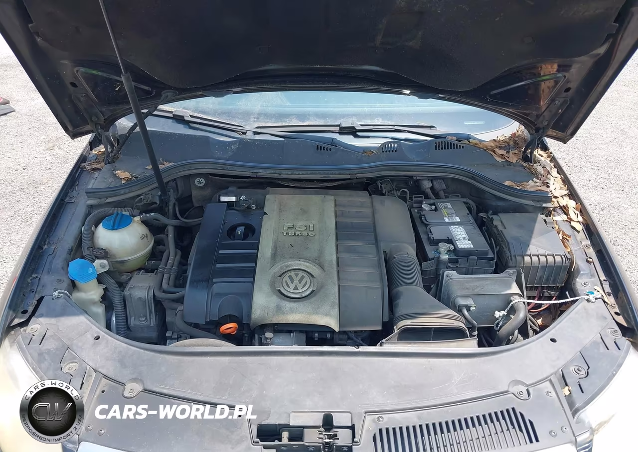 2007 Volkswagen Passat 2.0T VIN:WVWLK73C47E035630 - 10
