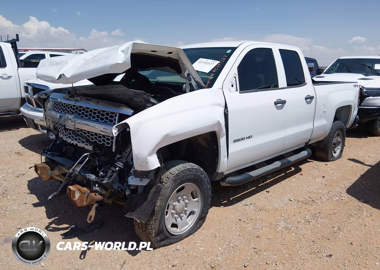2019 Chevrolet Silverado 2500Hd Wt VIN:2GC2KREG9K1216224 - 2