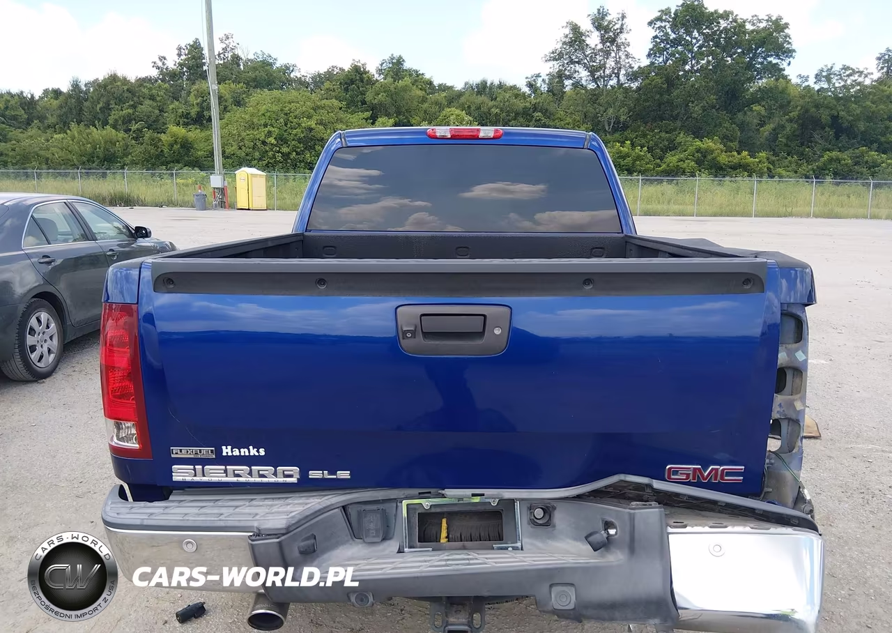 2010 GMC Sierra 1500 Sle VIN:3GTRCVE03AG253766 - 16