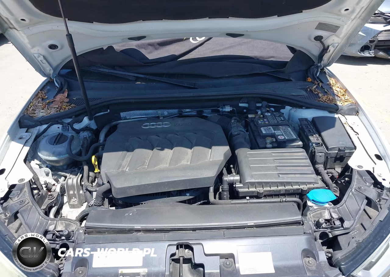 2017 Audi A3 2.0T Premium VIN:WAUAUGFF6H1044102 - 10