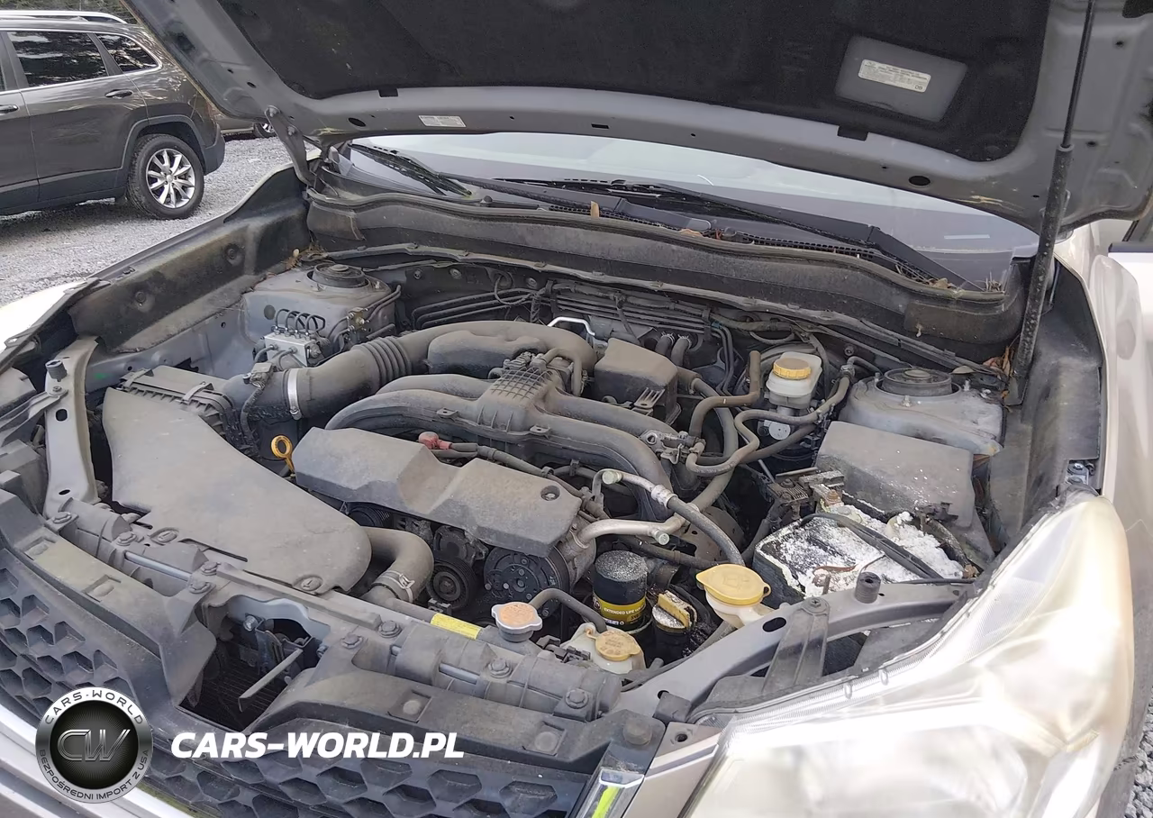 2015 Subaru Forester 2.5I Premium VIN:JF2SJADC4FH414524 - 10