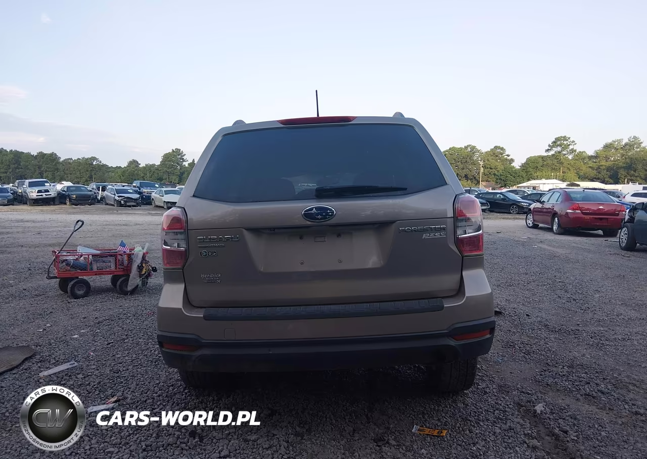 2015 Subaru Forester 2.5I Premium VIN:JF2SJADC4FH414524 - 17