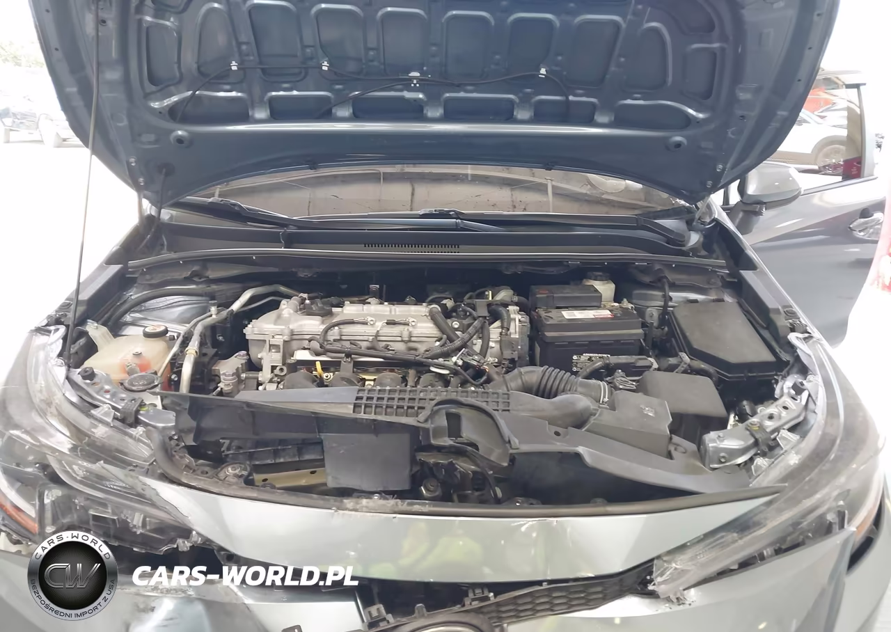 2020 Toyota Corolla Le VIN:5YFEPRAE3LP107893 - 10
