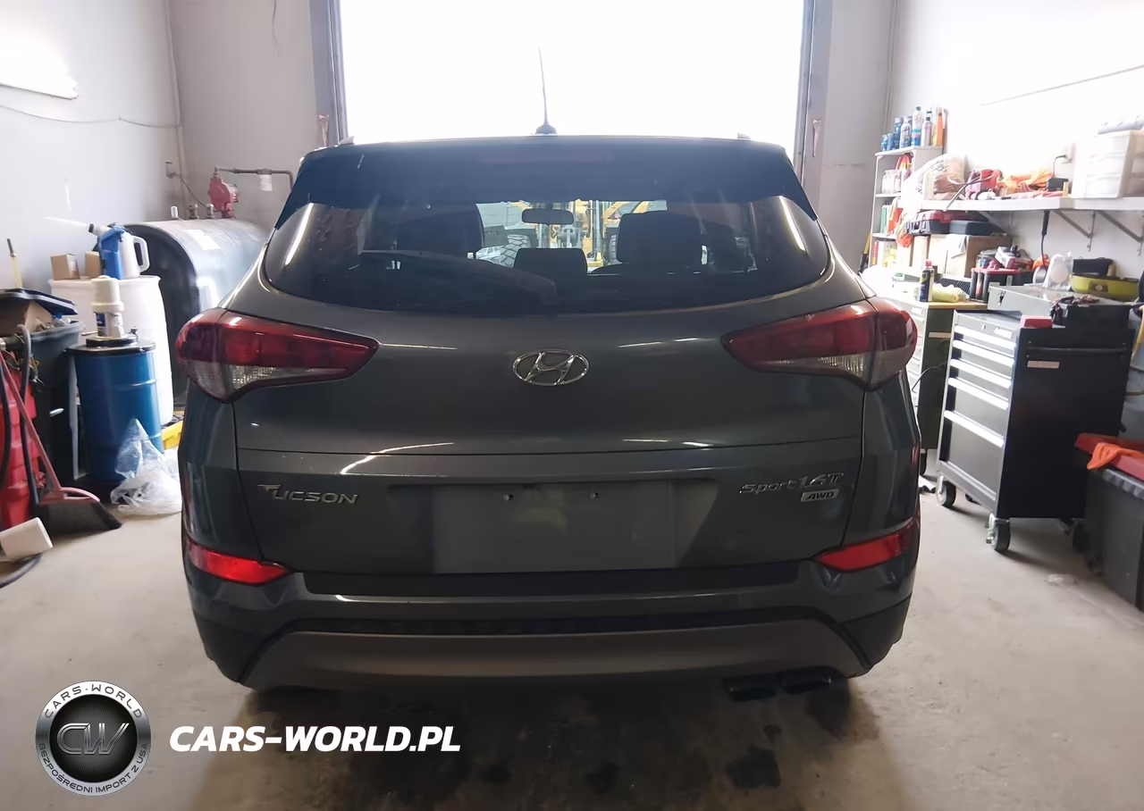 2016 Hyundai Tucson Sport VIN:KM8J3CA20GU219875 - 16