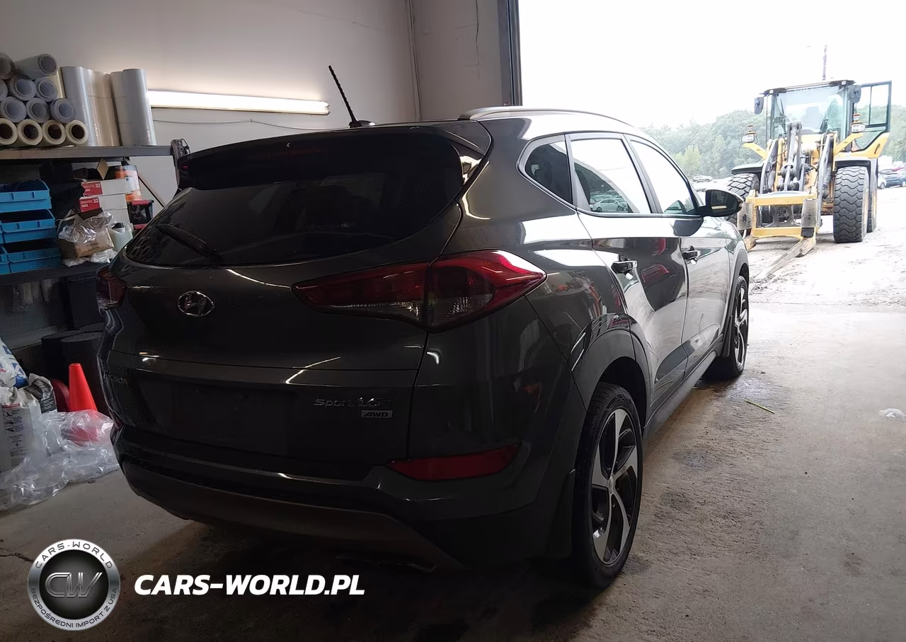 2016 Hyundai Tucson Sport VIN:KM8J3CA20GU219875 - 4